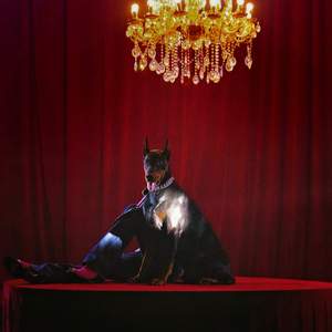 av福利永久免费在线观看
